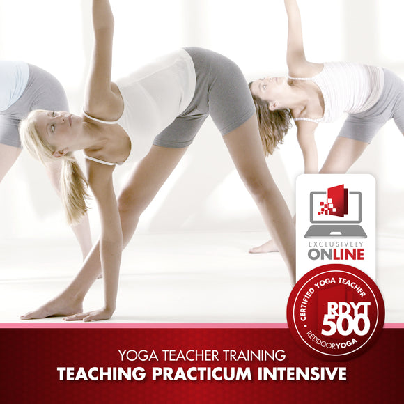 Red Door Yoga 500 Hour Yoga Teacher Training students doing group Yoga poses.